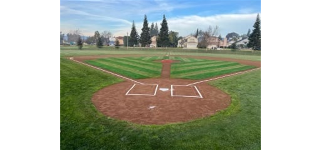 Fields 2023