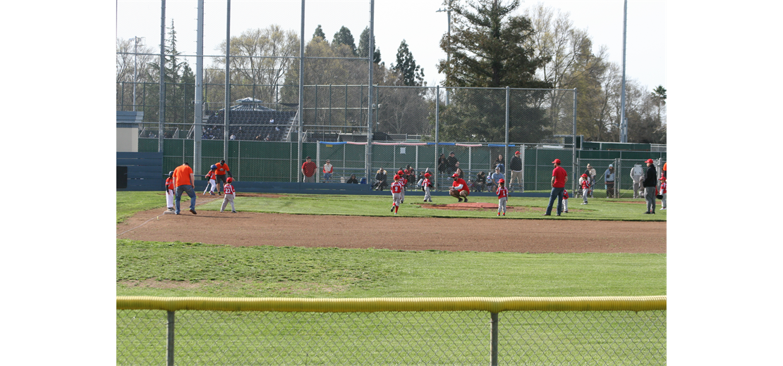 Play ball!!